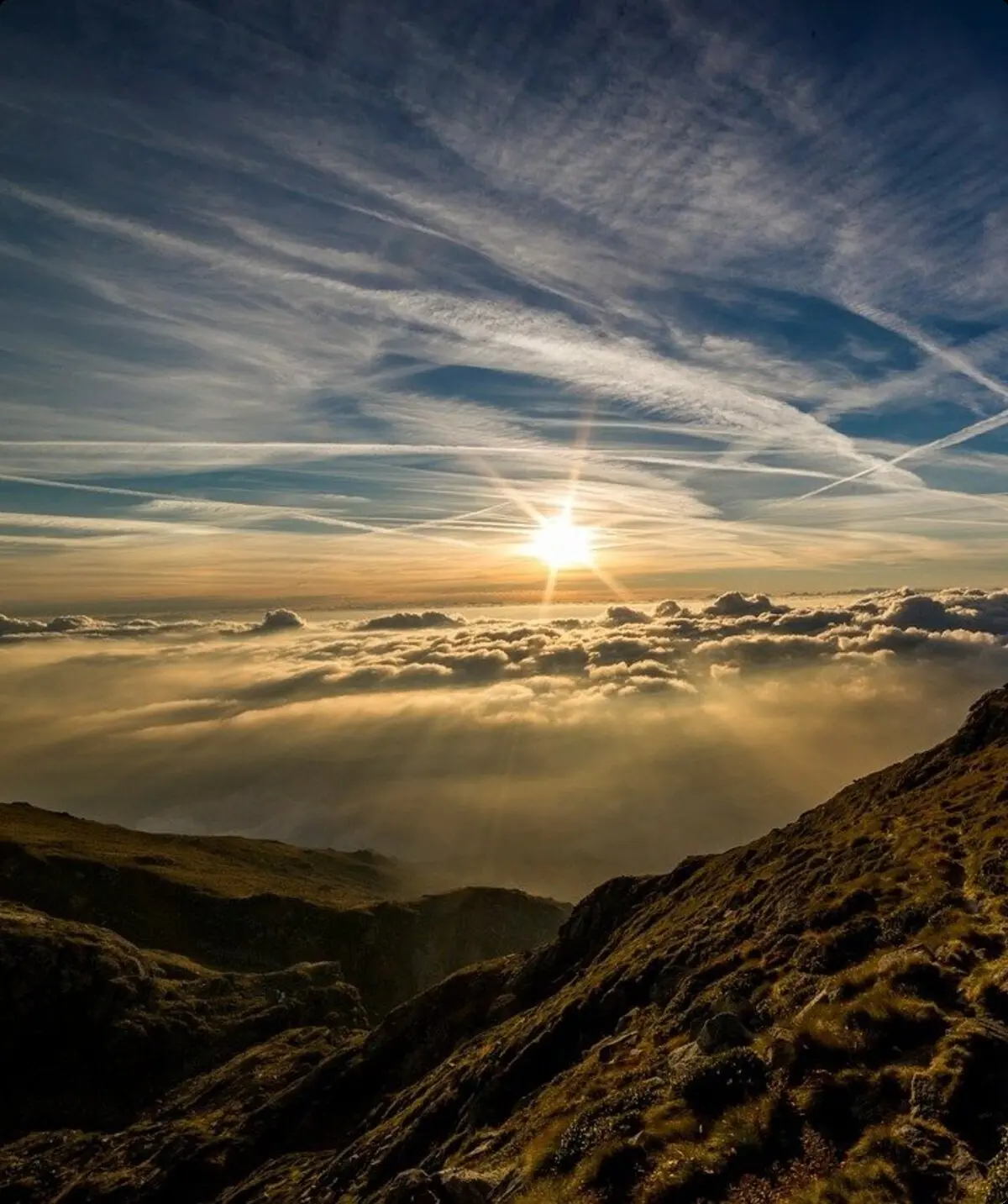 © dav testsektion 997