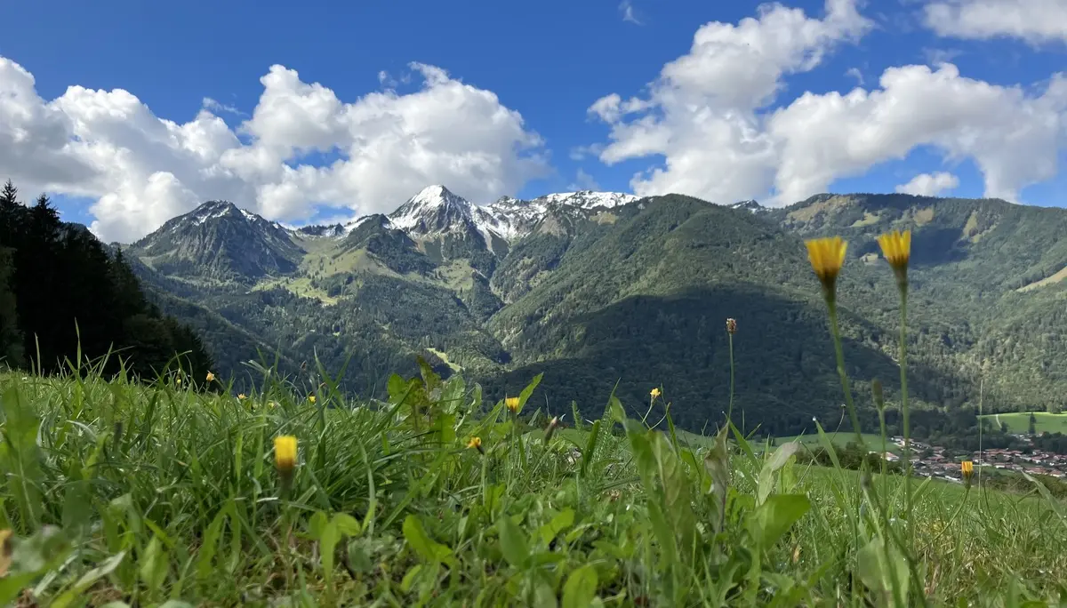 Massenverarbeitung alle Title | © DAV Testsektion - Pimcore 12