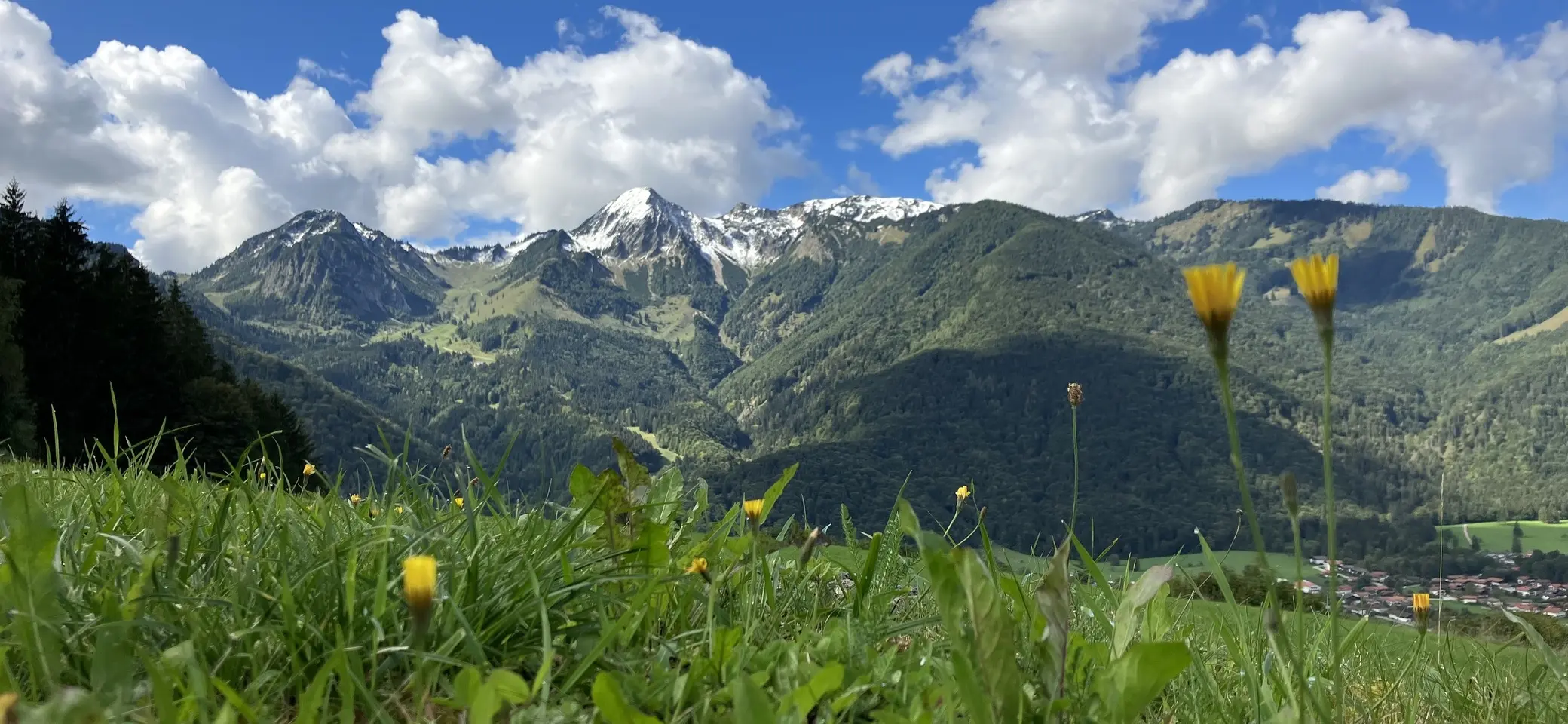 Massenverarbeitung alle Title | © DAV Testsektion - Pimcore 12