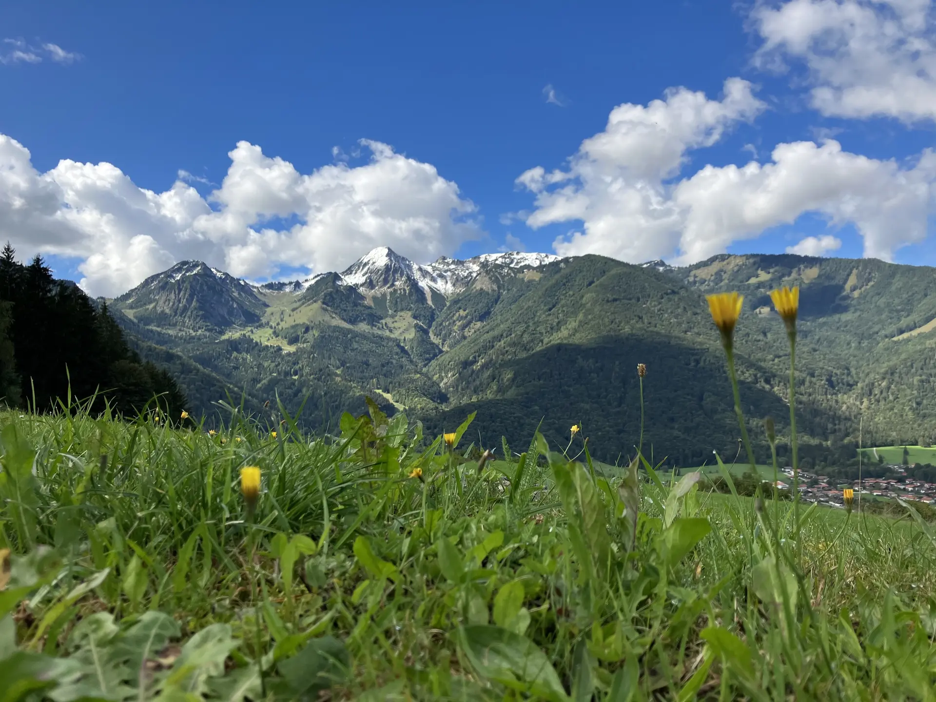 Massenverarbeitung alle Title | © DAV Testsektion - Pimcore 12