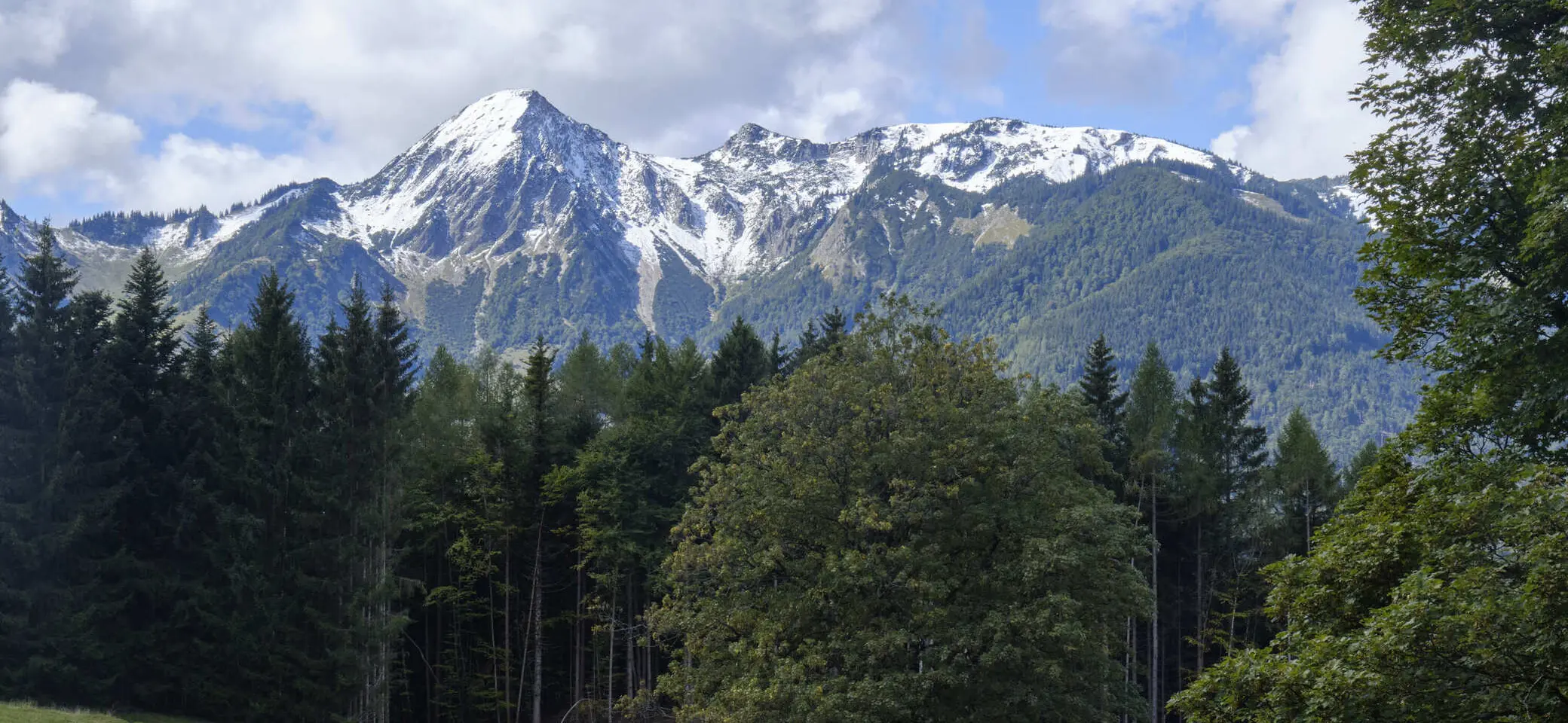 Massenverarbeitung alle Title | © DAV Testsektion - Pimcore 12