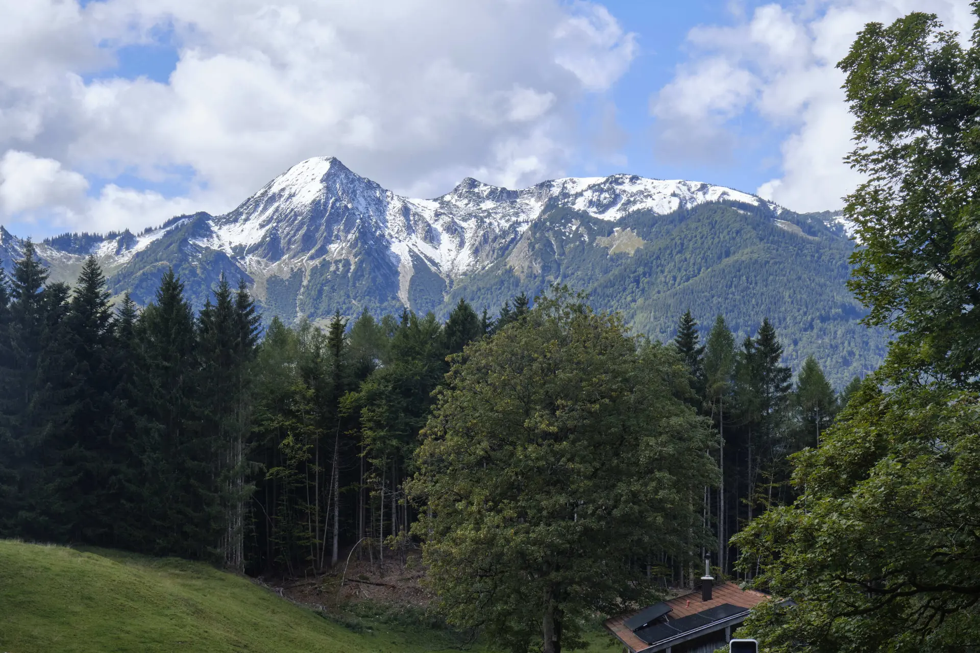 Massenverarbeitung alle Title | © DAV Testsektion - Pimcore 12