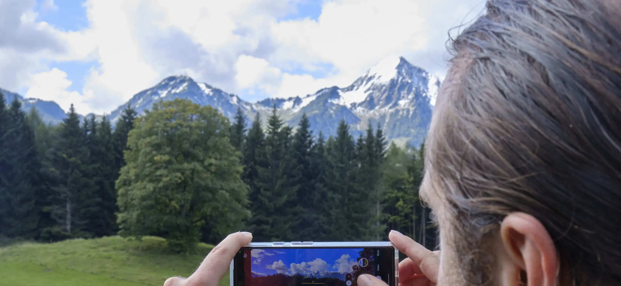 Massenverarbeitung alle Title | © DAV Testsektion - Pimcore 12