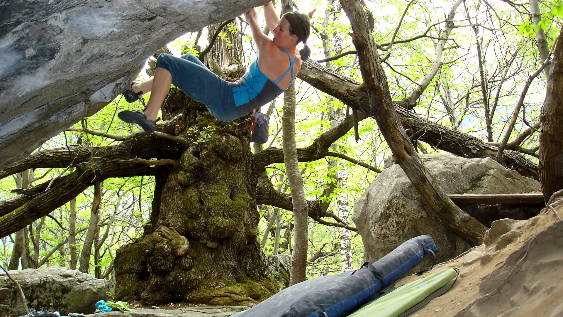 Ein Alt-Tag wegen BFSG | © DAV